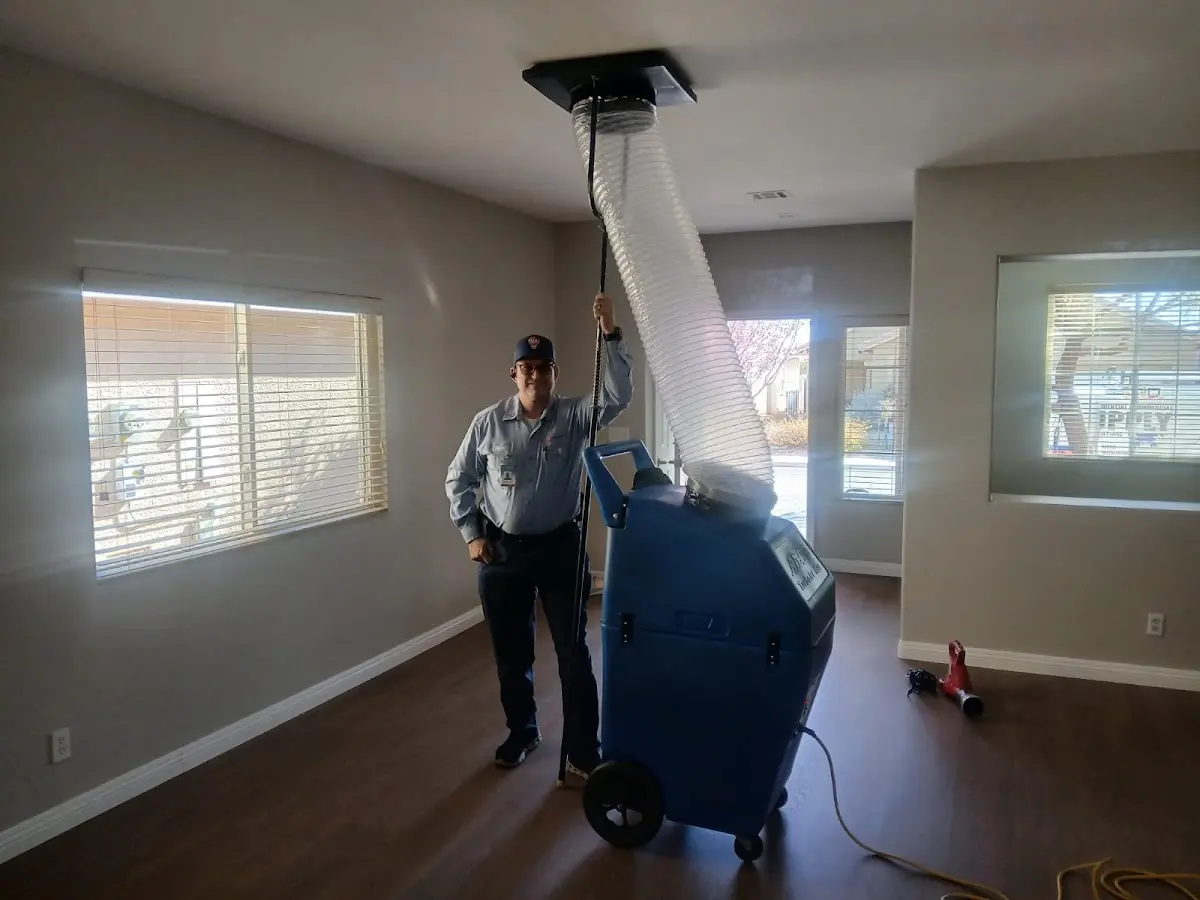 Professional Dryer Vent Cleaning work inside a Olivette home